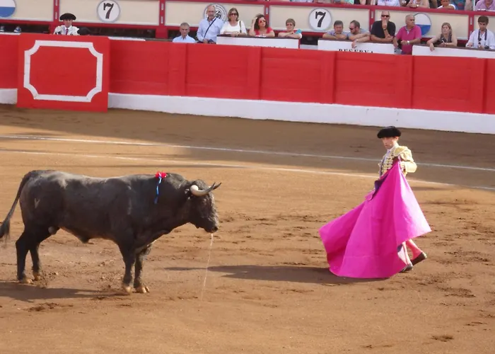 Accesso 2 Playas Locos Y Concha Vistas Increibles 6 Per Parking Apartman *